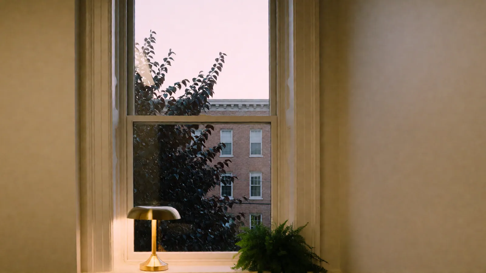 Dusk through a tall double-hung window: a pink sky, the dark leaves of a street tree and a brick building, a small brass lamp lit on the sill beside a fern.